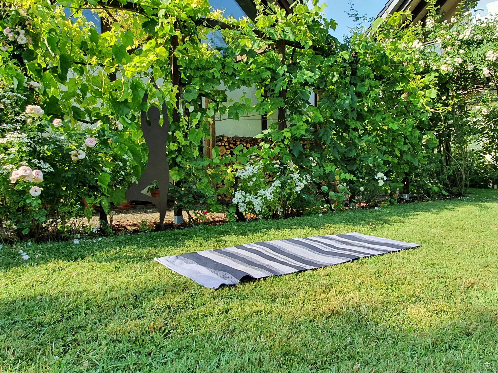 Yoga-Zentrum Jena — yoga-studio i Jena — 5