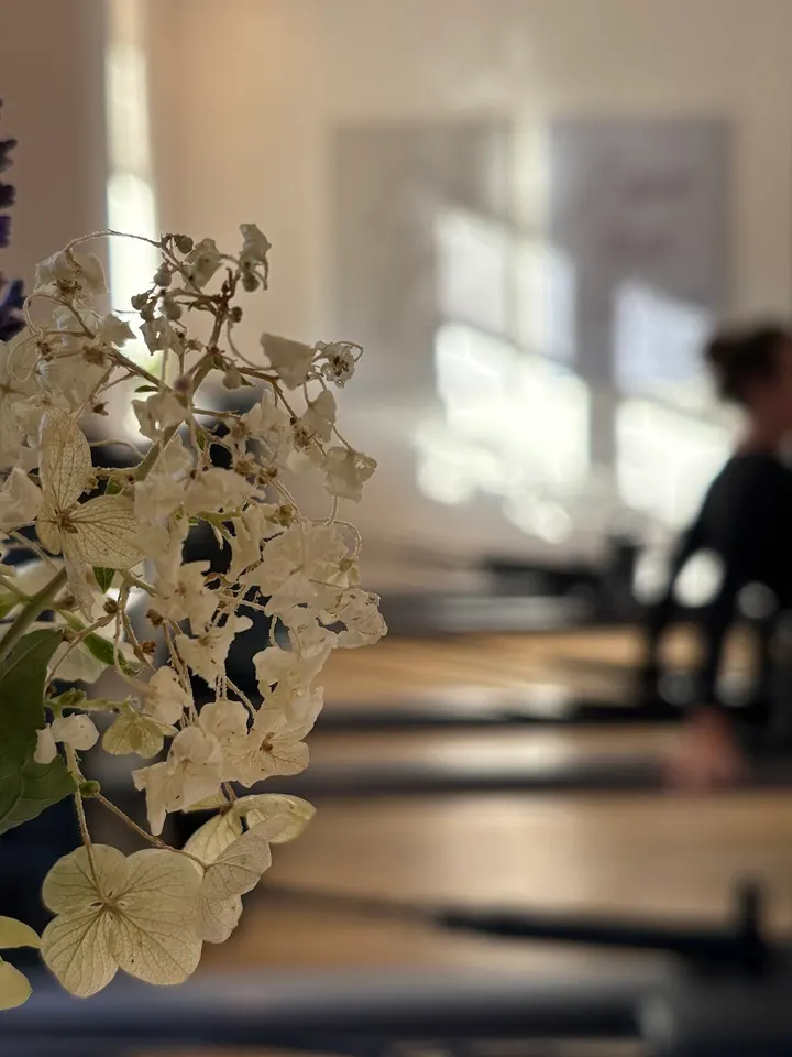 House of Pilates — pilates-studio i Charlottenlund, København — 2