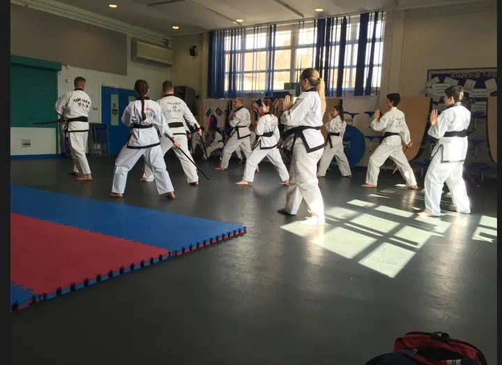 Tiger Academy Tang Soo Do — Martial Arts in Morden, London