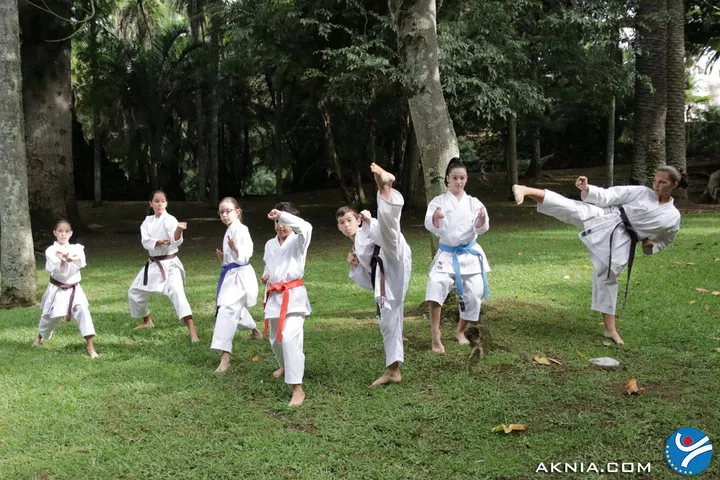 AKNIA — artes marciais-studio em Angra do Heroísmo — 5