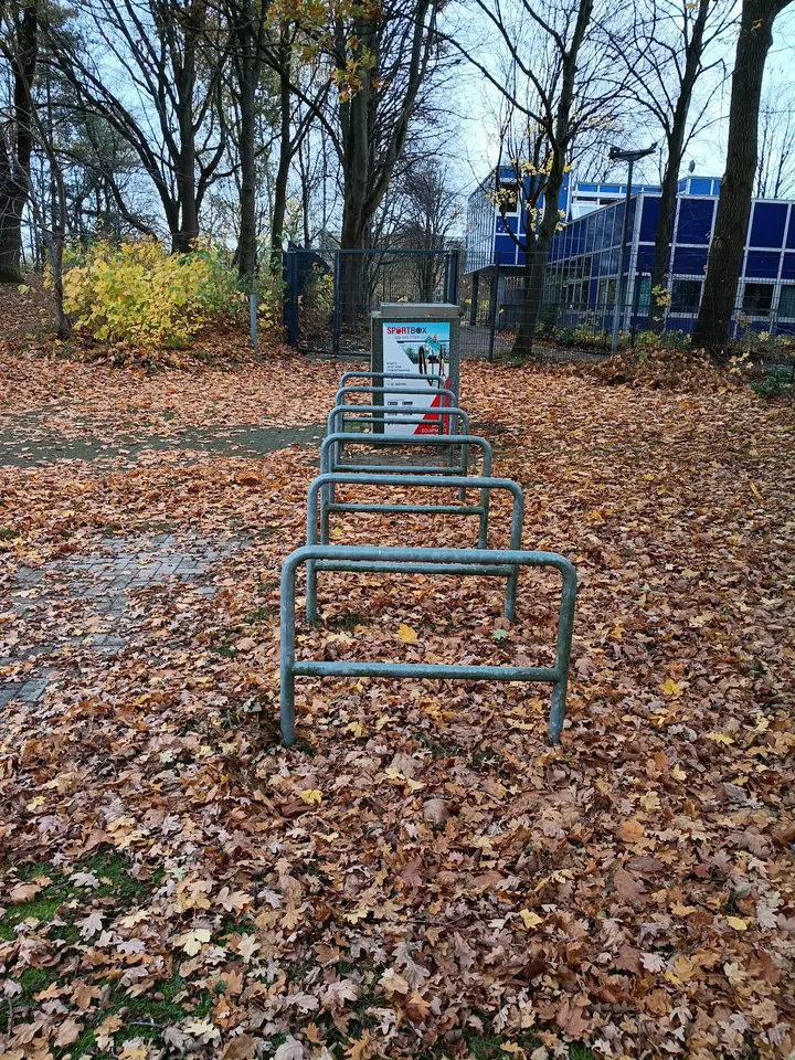 CaliX Park Mümmelmannsberg — calisthenics-studio in Billstedt, Hamburg — 2