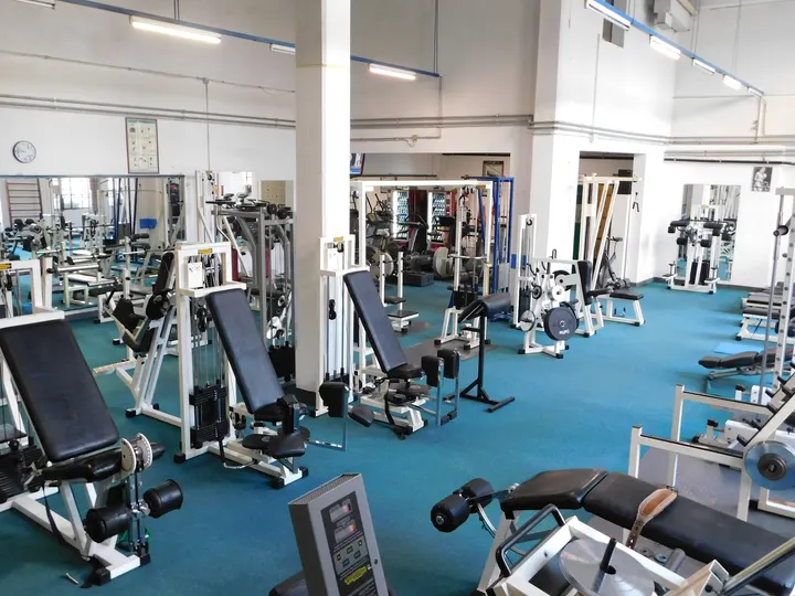 Palestra Meeting Sport Club — Palestre a Alessandria