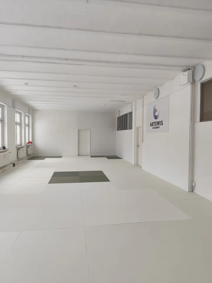 Artemis Academy — Kickboxen in Lokstedt, Hamburg