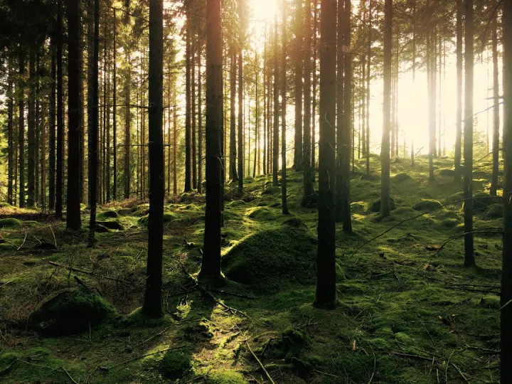 The soul refinery — meditation-studio in Vasastan, Stockholm — 3