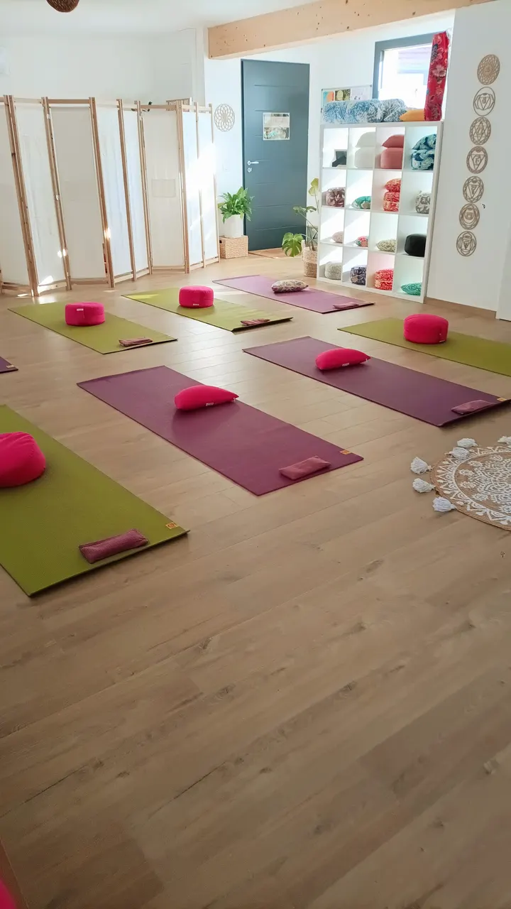 Espace Chandra — yoga-studio à Grenoble — 3
