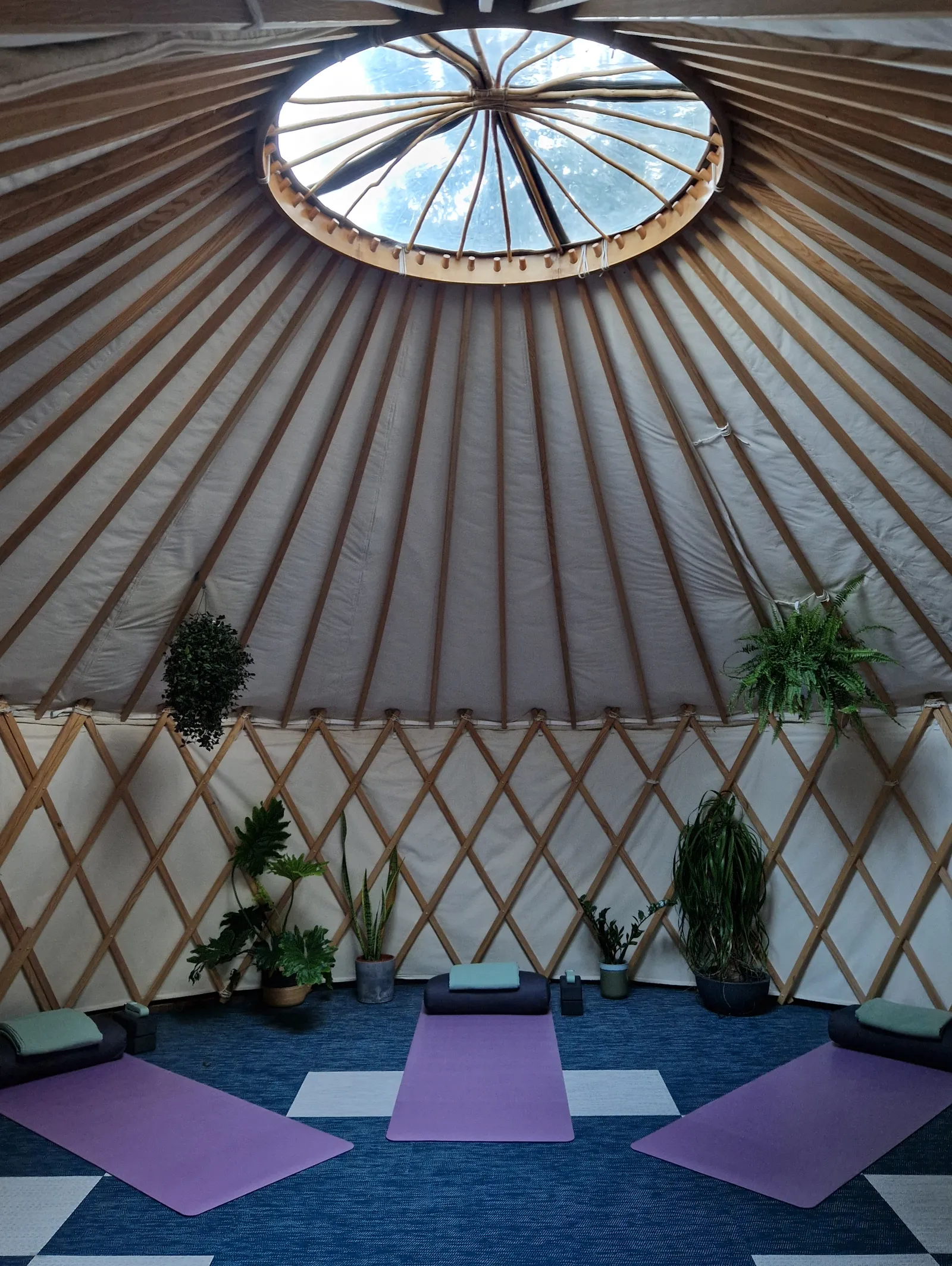 Yoga Yurtopia — yoga-studio in Barnet — 6