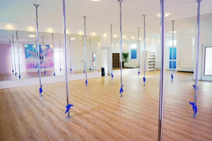 Pegasus Pole Trier — Pole Fitness in Euren, Trier
