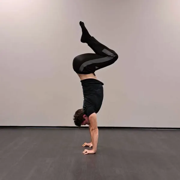 The CaliFactory Studio — calisthenics-studio i Kirsebergsstaden, Malmö — 2