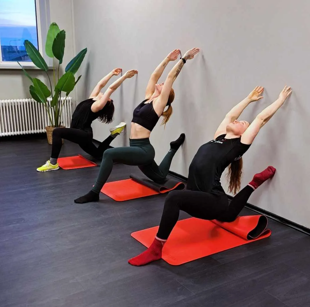The CaliFactory Studio — calisthenics-studio i Kirsebergsstaden, Malmö — bild 3