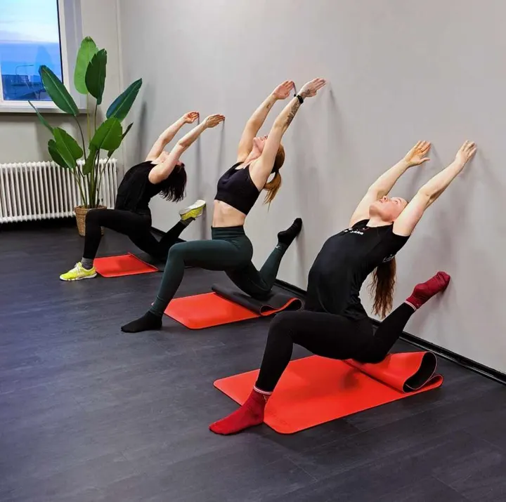 The CaliFactory Studio — calisthenics-studio i Kirsebergsstaden, Malmö — 3