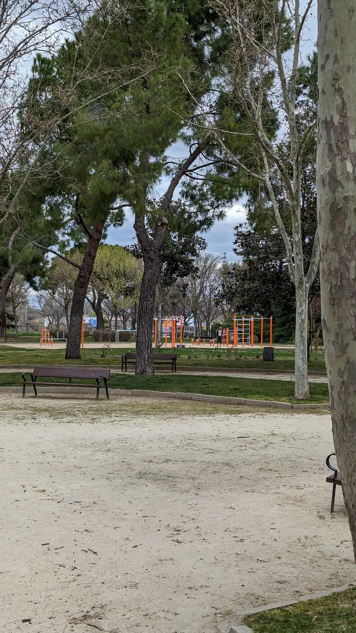 Street Workout - Calistenia — estudio de fitness-studio en Leganés — 4