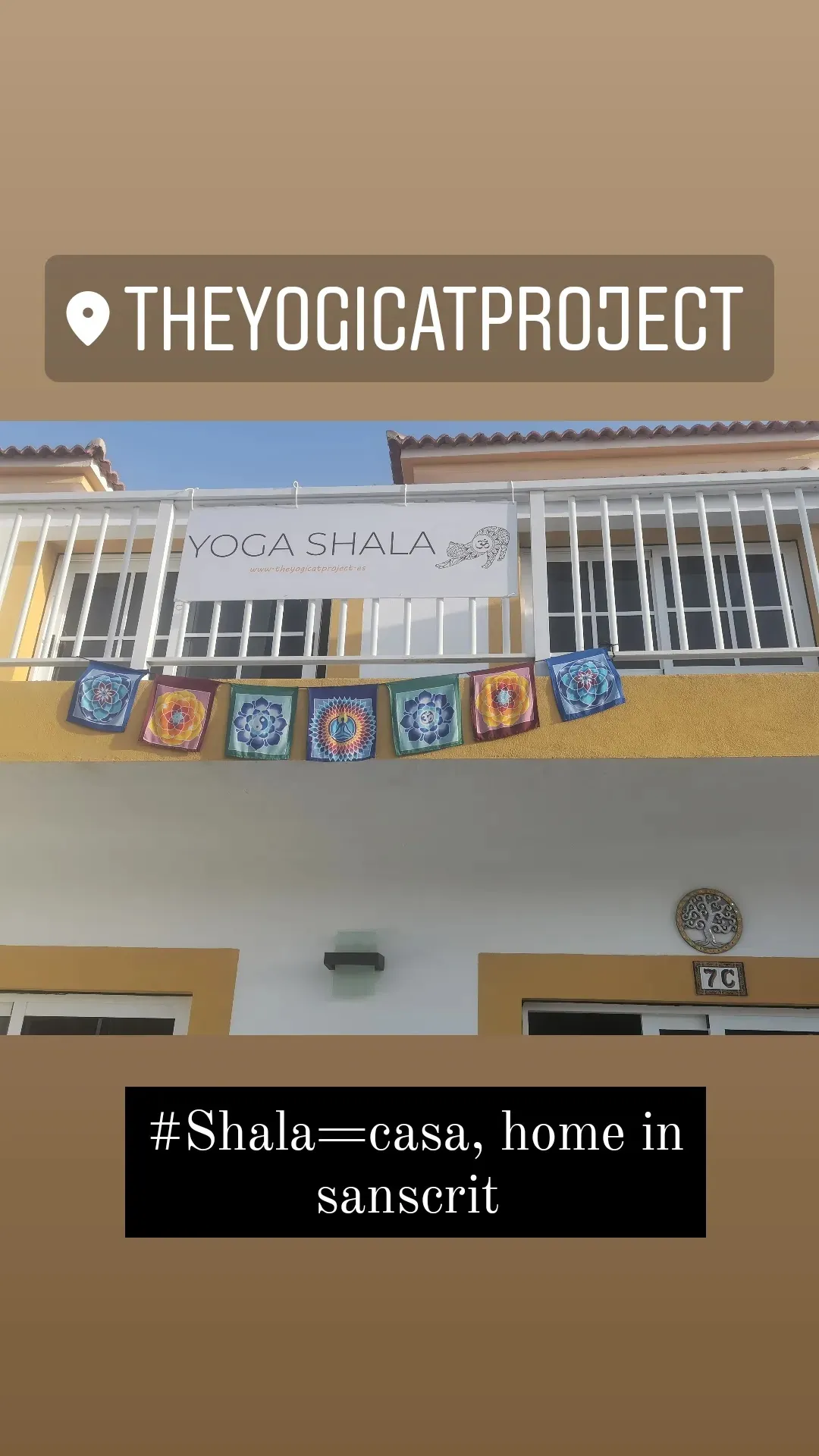 Yoga Shala.Theyogicatproject. — yoga-studio en El Castillo — 4