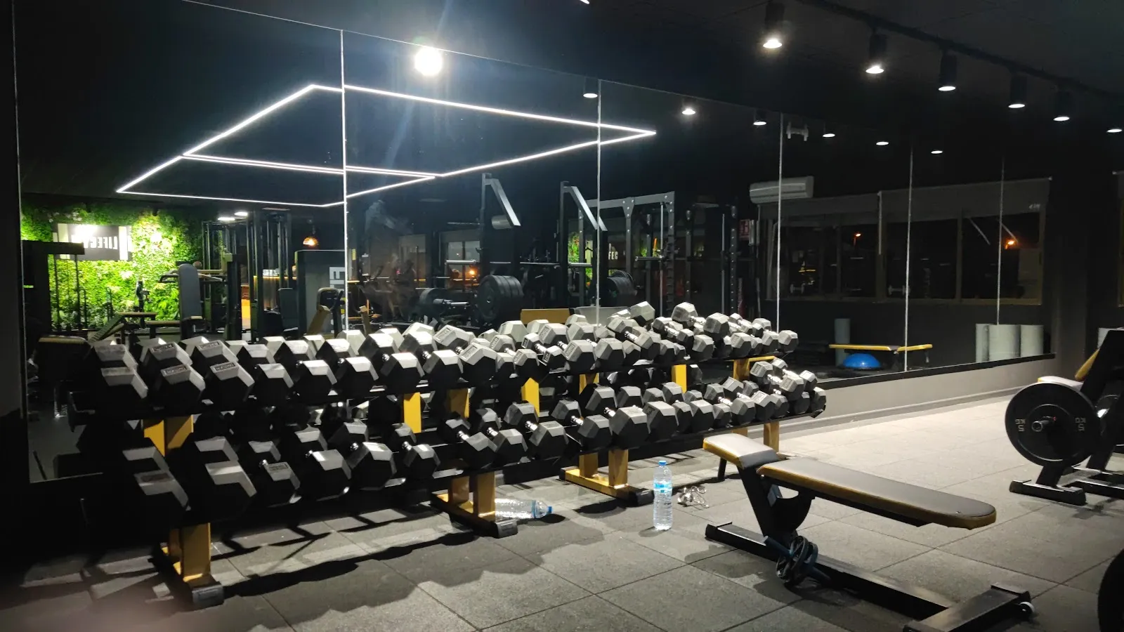 Lifegym — estudio de fitness-studio en Redován — 5
