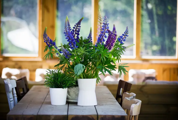 The Guest House Mindfulness Rackstad. — Meditation i Arvika