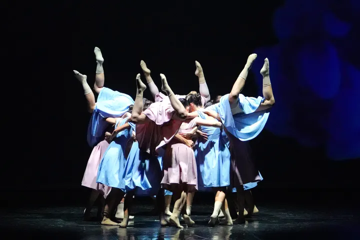 Centro Danza Royal — danza-studio a Santa Rita, Torino — 2