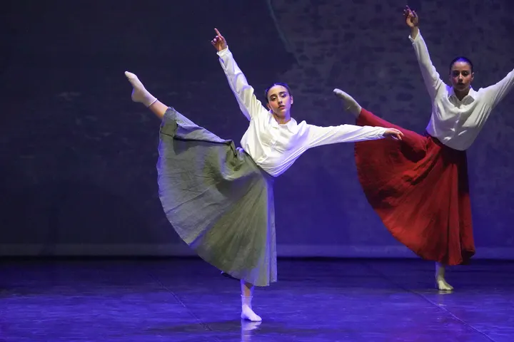 Centro Danza Royal — danza-studio a Santa Rita, Torino — 3