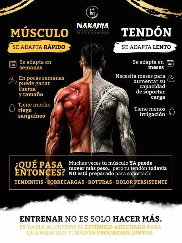 Centro de Entrenamiento Nakama — crossfit-studio en Albolote — 2