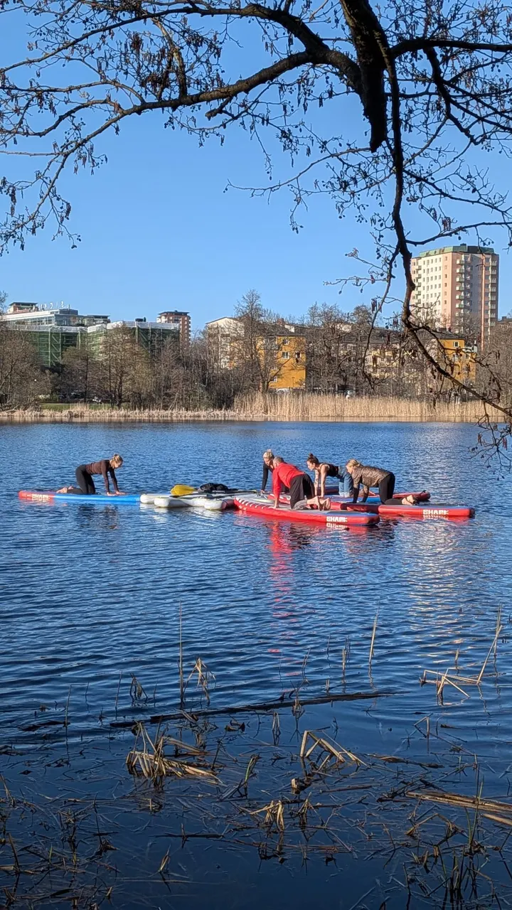 SUP Yoga — Yoga i Sickla, Stockholm