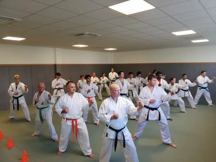 Karate Academie Sports Elite — Arts martiaux à Brumath