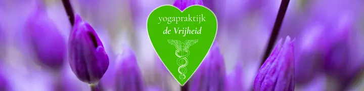 Gezondheidshuis Gouda — wellness-studio in Binnenstad, Gouda — 2