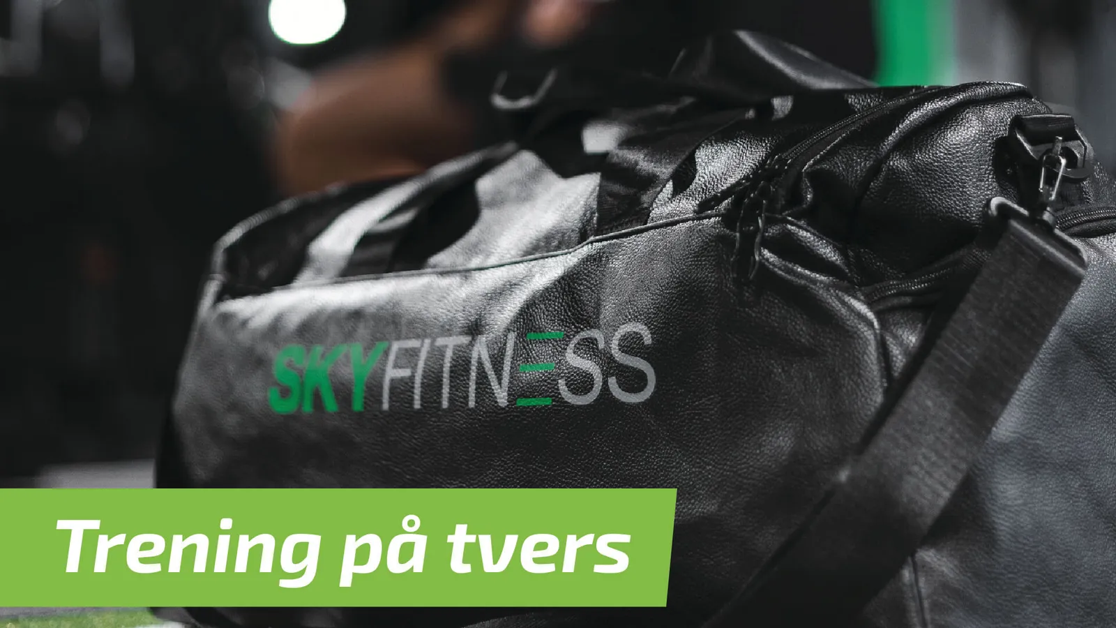 SKY Fitness Menstadbrua — treningsstudio-studio i Skien — bild 4