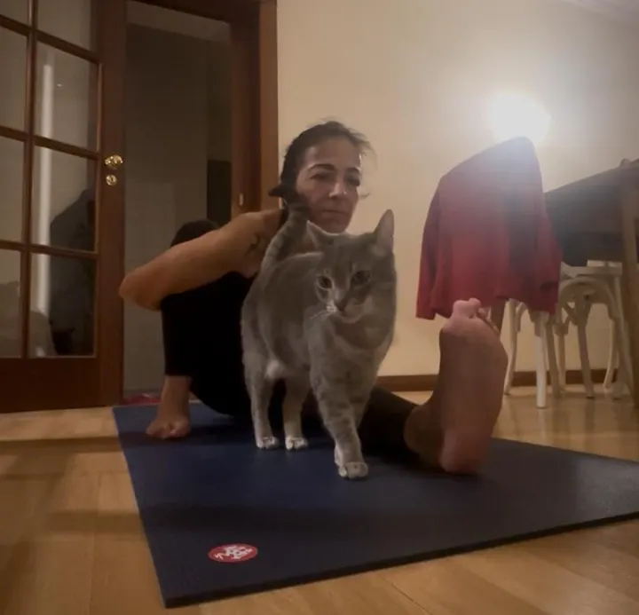 Sattva Yoga Gaia — yoga-studio em Porto — 5