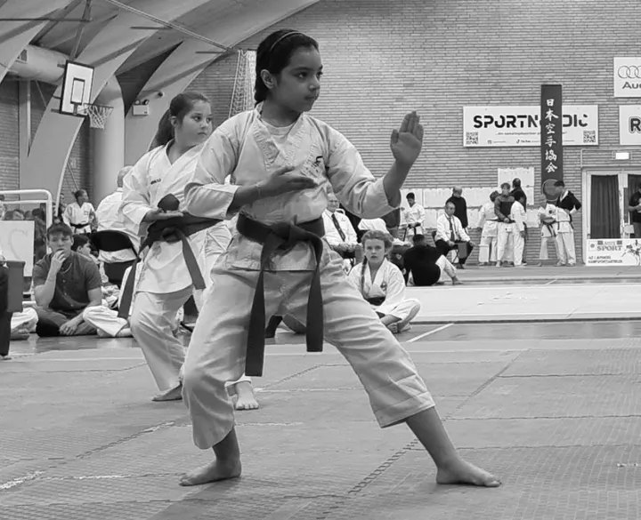 Mujin-Kai — martial arts-studio i Frederiksberg