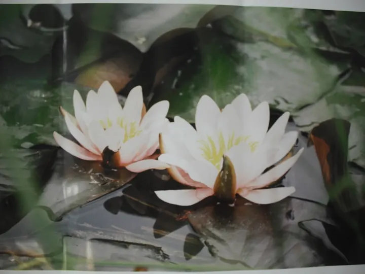 ADI SHAKTI YOGA — yoga-studio in Göttingen — 4