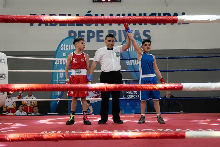 Club de boxeo Bienvenido alloza rosa — Artes marciales en Huelva