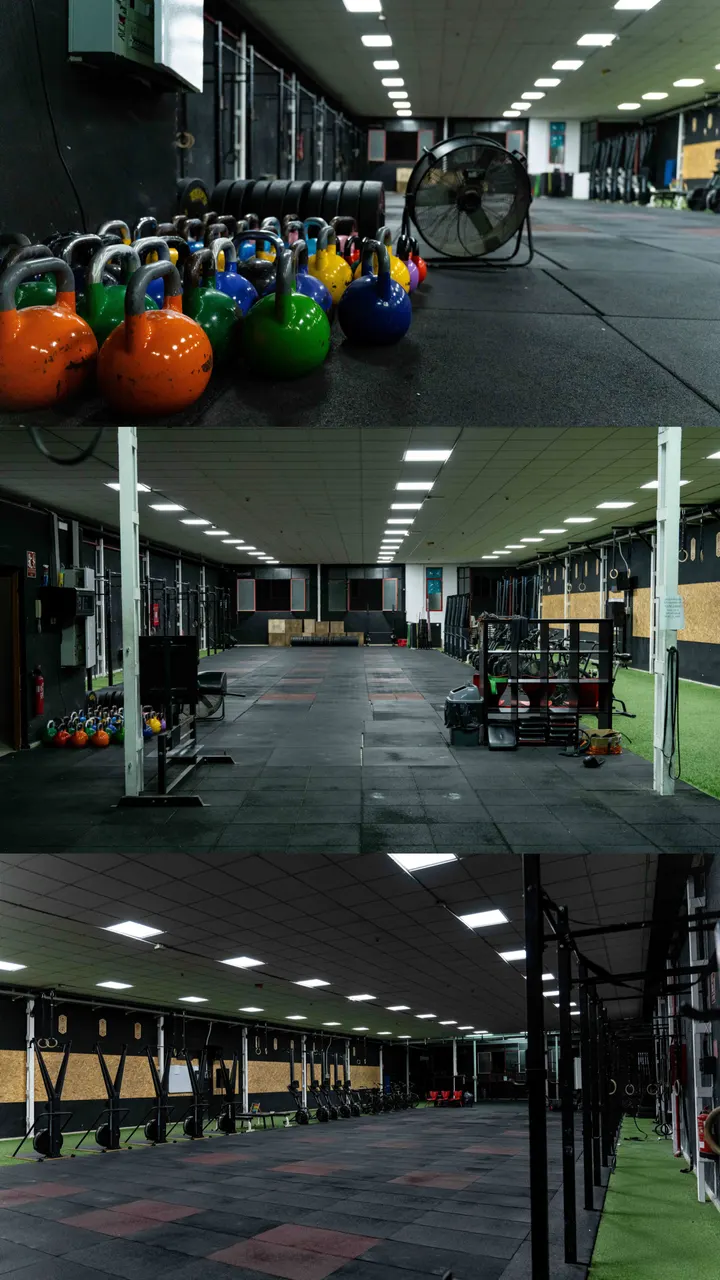 Club De Boxeo Evolution Elche — Boxeo en Elche