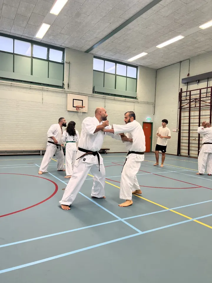 Kyokushin Ronin — vechtsport-studio in Componistenbuurt, Delft — 3