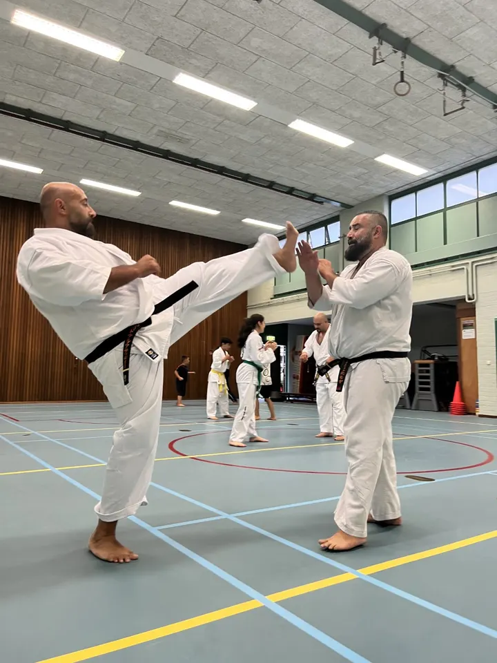 Kyokushin Ronin — vechtsport-studio in Delft — 4