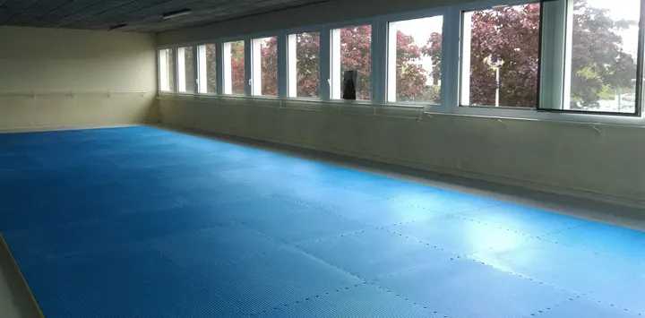 AIKIDO Décines 69 — arts martiaux-studio à Décines-Charpieu, Lyon — 2
