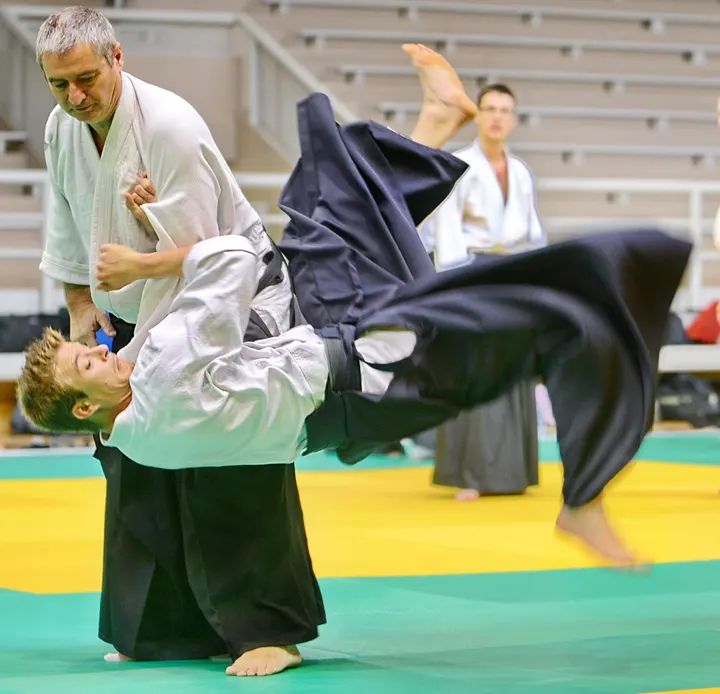 AIKIDO Décines 69 — arts martiaux-studio à Lyon — 3