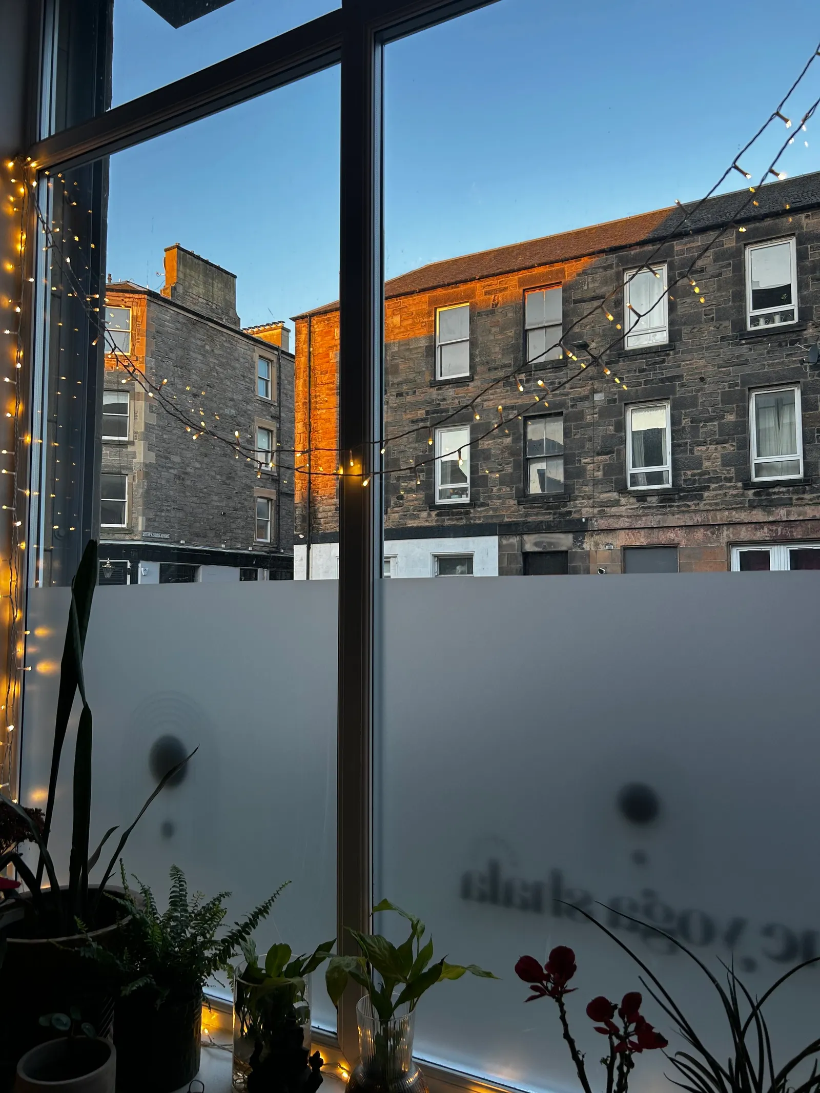 The Yoga Shala Edinburgh — yoga-studio in Edinburgh — 3