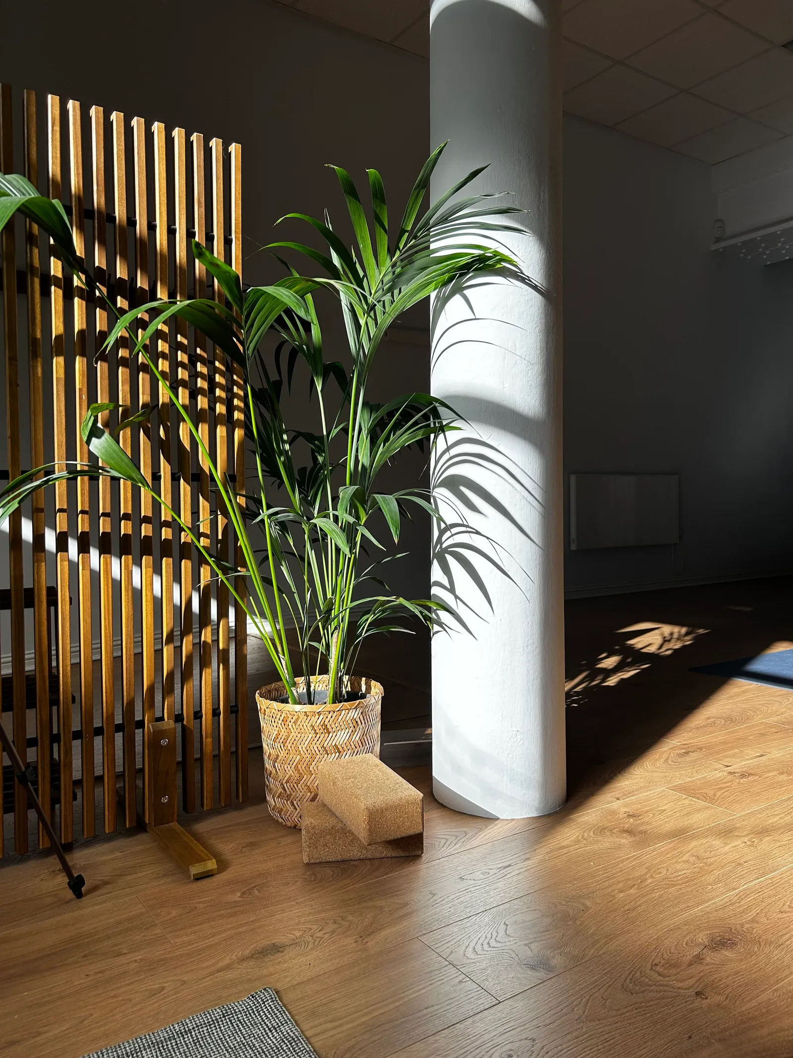 The Yoga Shala Edinburgh — yoga-studio in Edinburgh — 5
