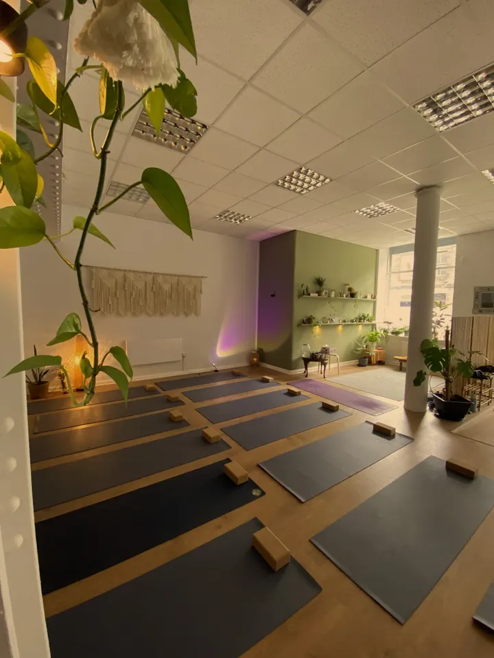 The Yoga Shala Edinburgh — Yoga in Leith Central, Edinburgh