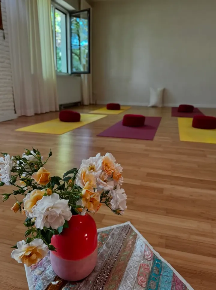 Kaula Yoga Traditional - Evi Plaschke — yoga-studio in Münster — 4