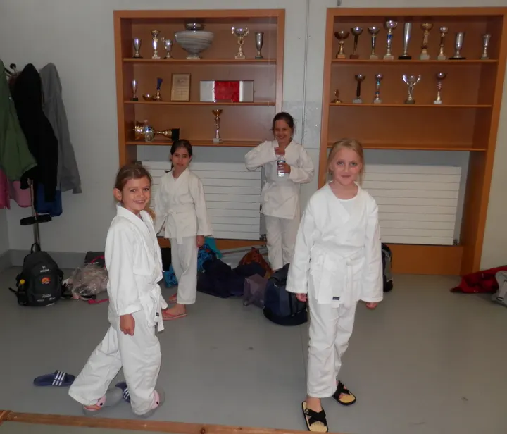 Karate Club Sorguais — arts martiaux-studio aux Aires, Sorgues — 3