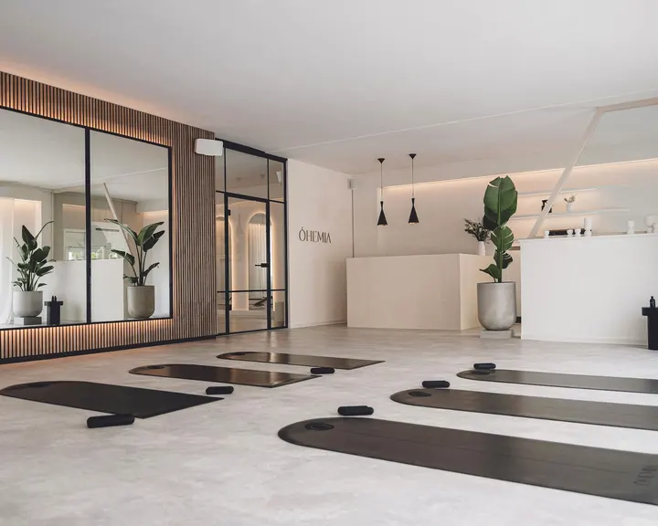OHEMIA Studio — Yoga in Neue Vorstadt, Stuttgart