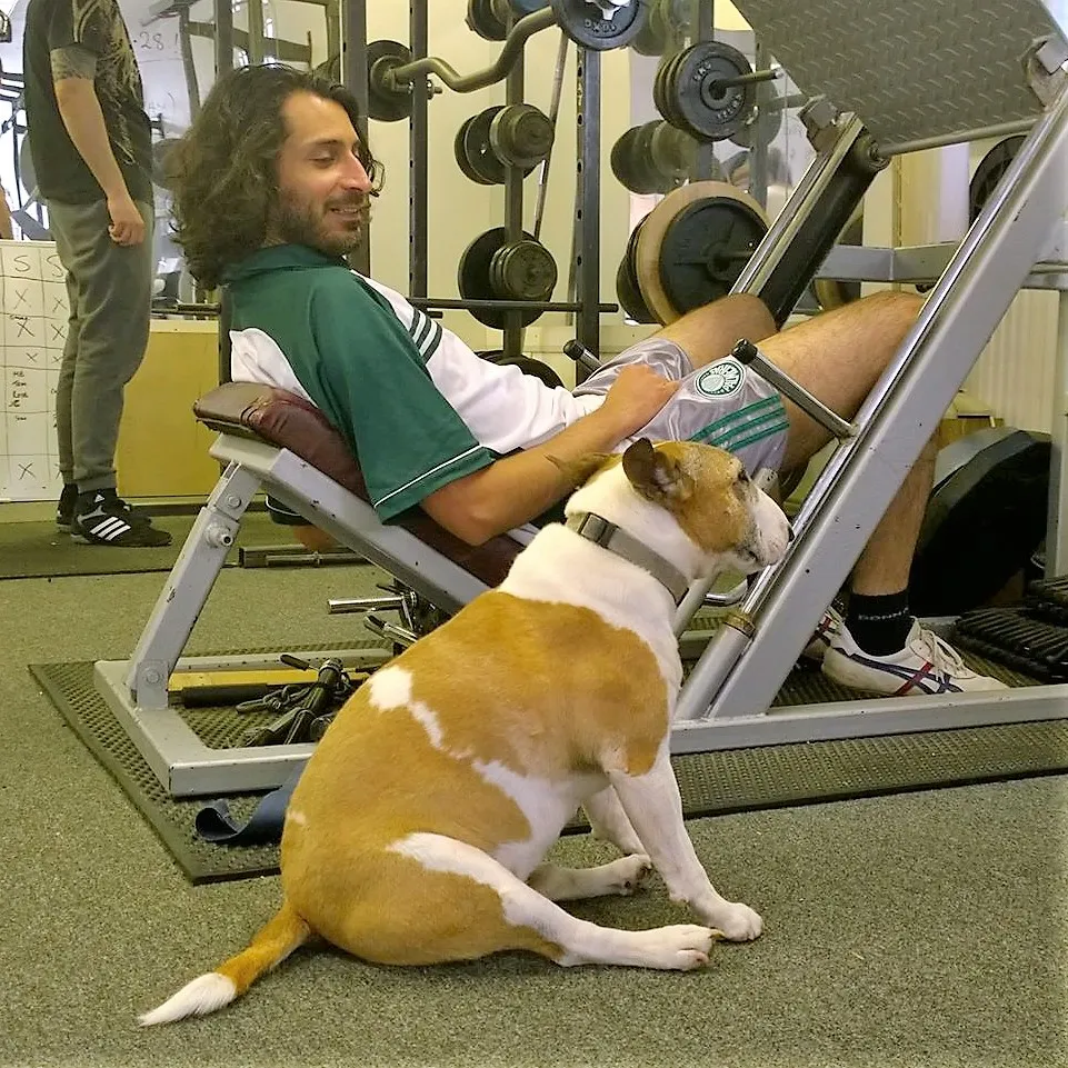 Bodyworks Personal Training & Gymnasium — pt studio in Norwich — 3