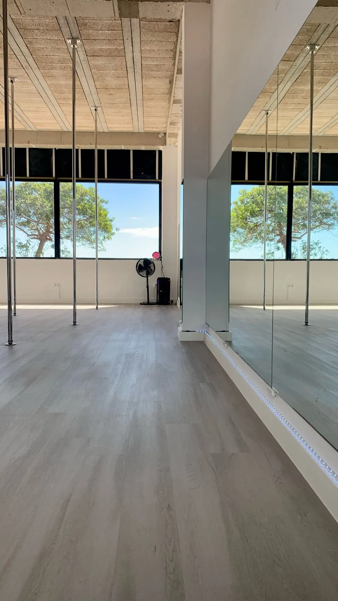 Pole Studio Fuerteventura — pole fitness-studio en Parque Holandés — 2