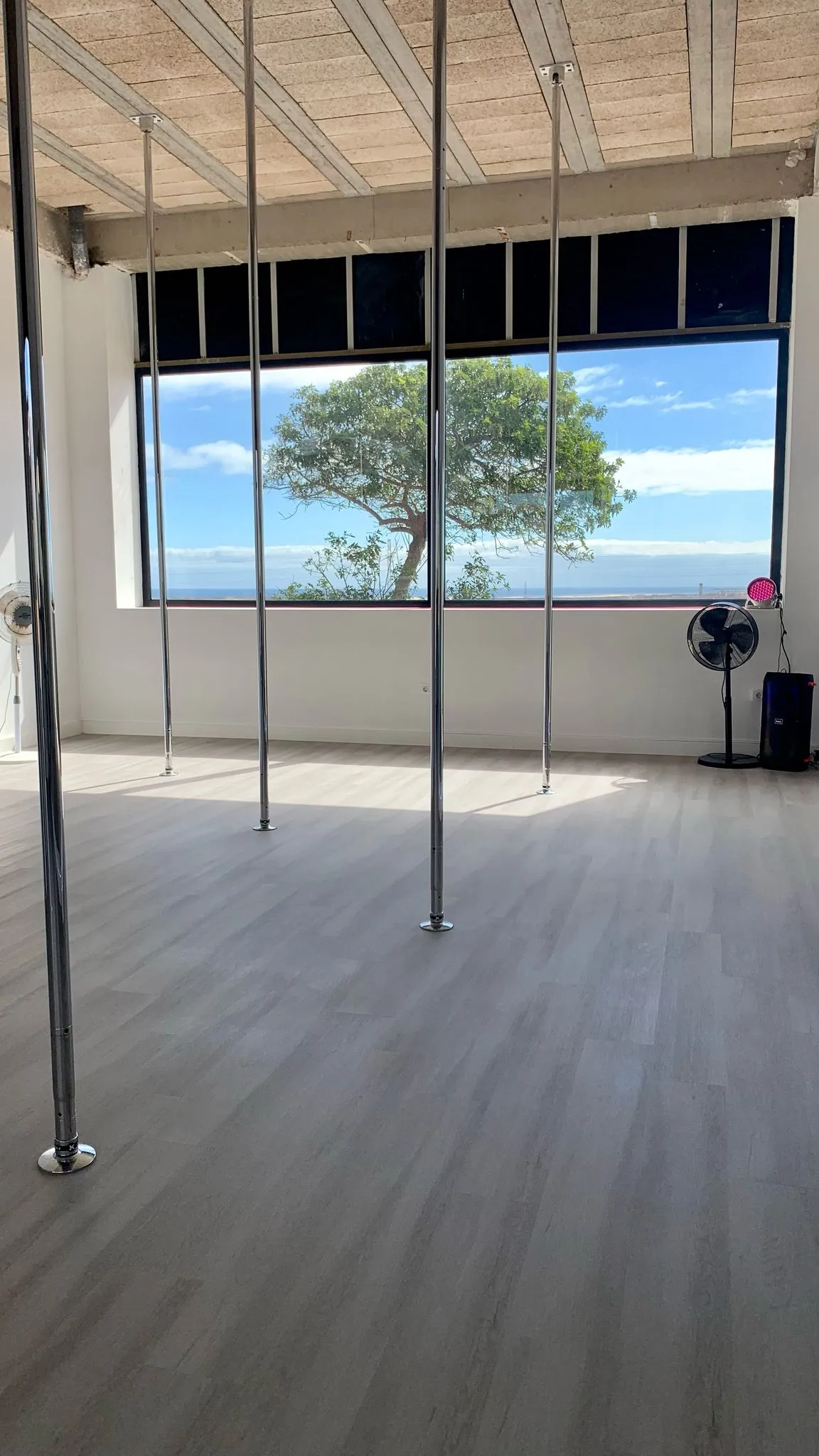 Pole Studio Fuerteventura — pole fitness-studio en Parque Holandés — 3