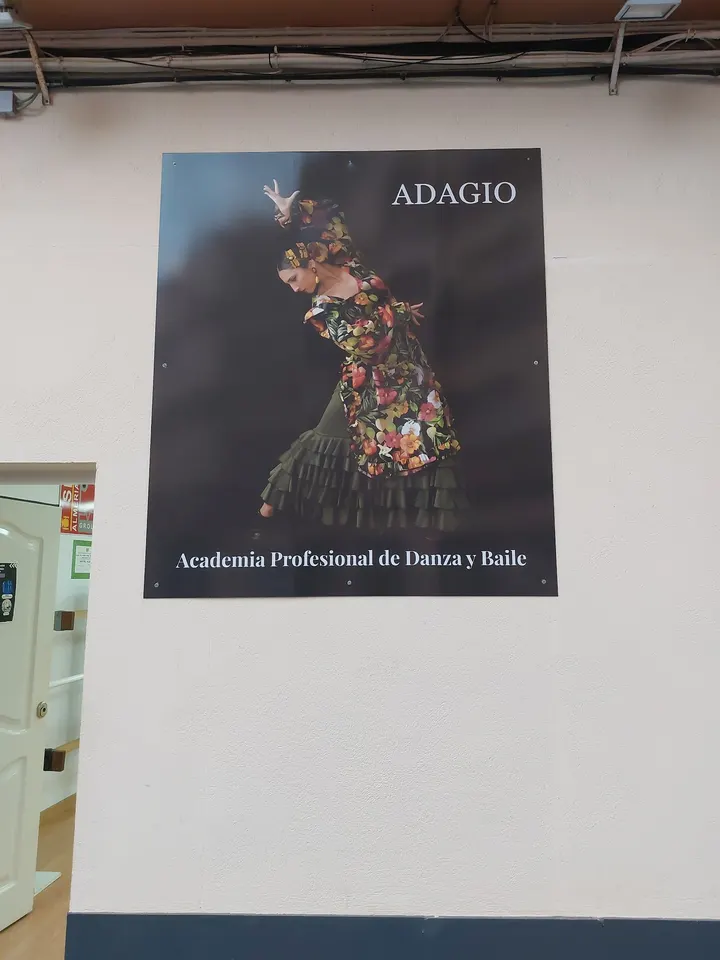 Escuela Profesional De Danza Y Baile Adagio — baile-studio en San Luis, Almería — 2