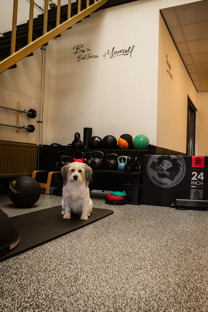 Carla Timman — personal training-studio in Krimpen aan den IJssel — 3