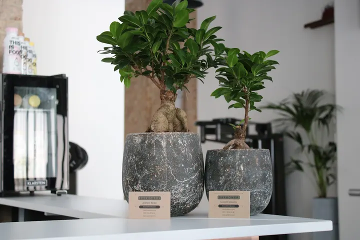 Sarkomer Personal Training — pt-studio in Berlin — 4