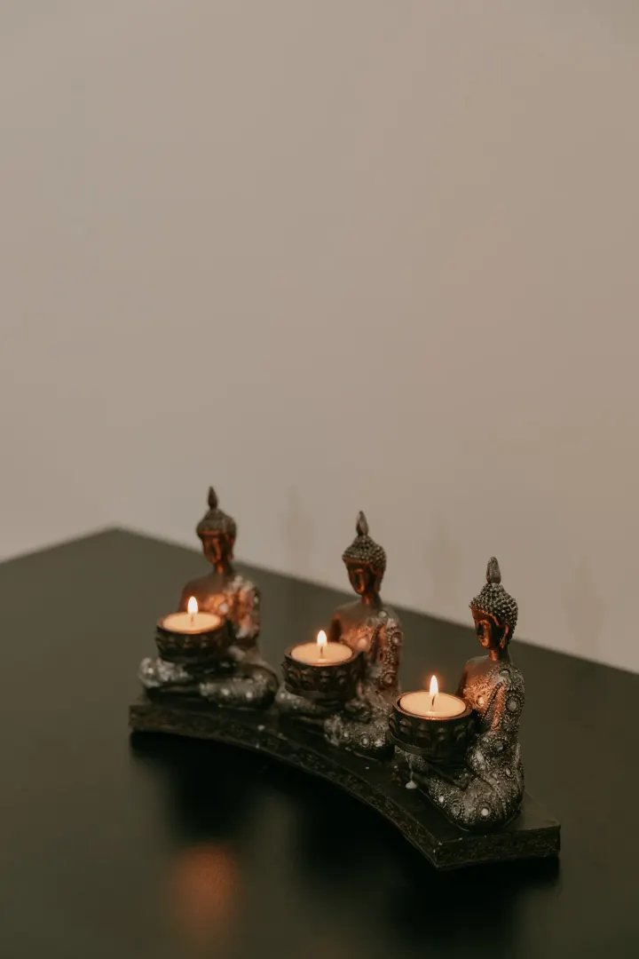 Spaso Zen - Paredes — meditação-studio em Paredes — 3