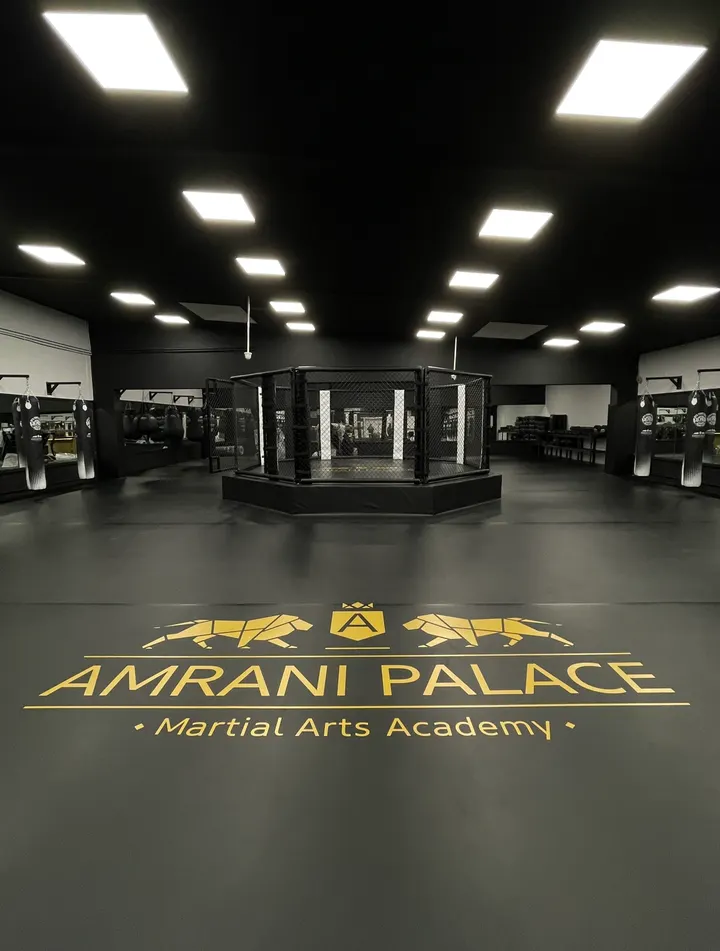 Amrani Palace Academy — mma-studio in Oberhausen — 4