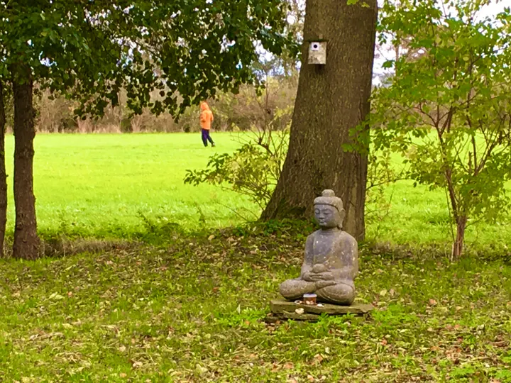 Meditatie, Yoga en Mindfulness — yoga-studio in Amsterdam — 4
