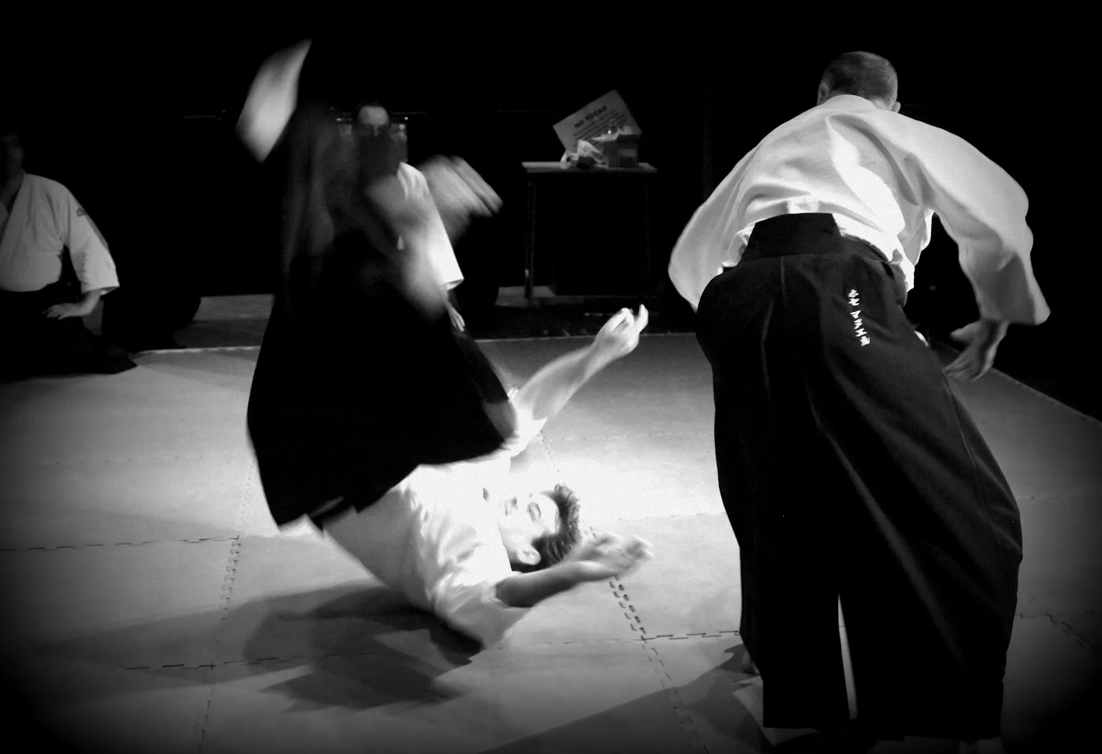Aikikan dojo — artes marciales-studio en María Auxiliadora, Badajoz — 3